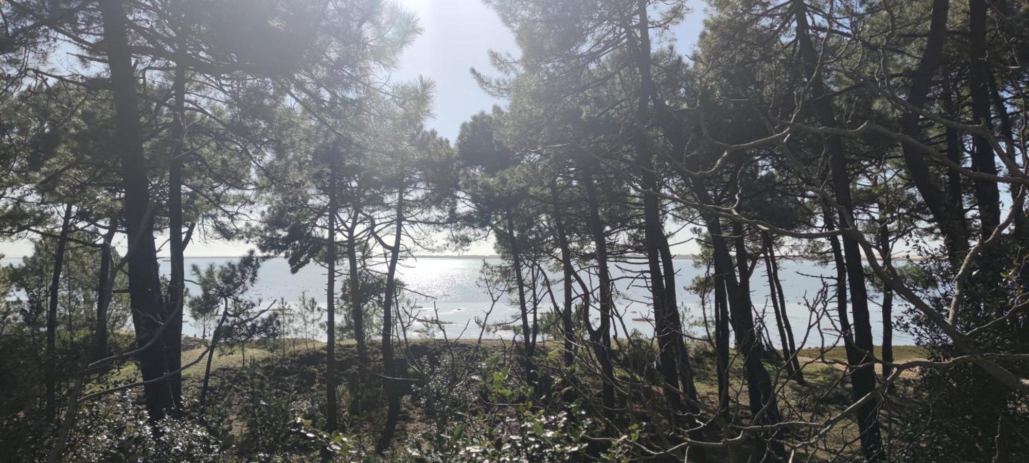 Mobil-Home - Camping Siblu Bonne Anse Plage Ле-Мат Экстерьер фото